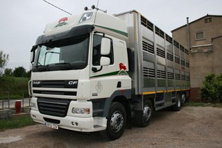 El transporte de ganado demanda camiones como este DAF CF85 460 8X2.