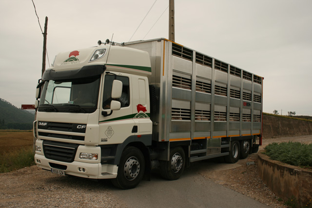 Diariamente este DAF CF85 de cuatro ejes recorre unos 300 kilómetros y circula por carreteras locales y caminos rurales.