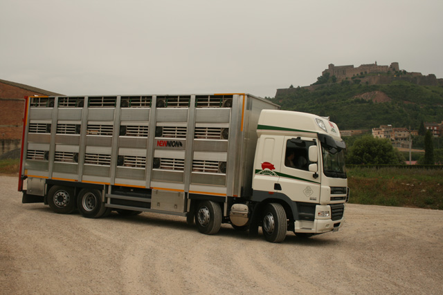 El DAF CF85 8x2 ya con su carga completa frente al castillo medieval de Cardona.