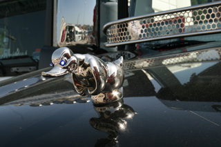 Impone, el pato salvaje emblema de este Scania e inspirado en la película Convoy.