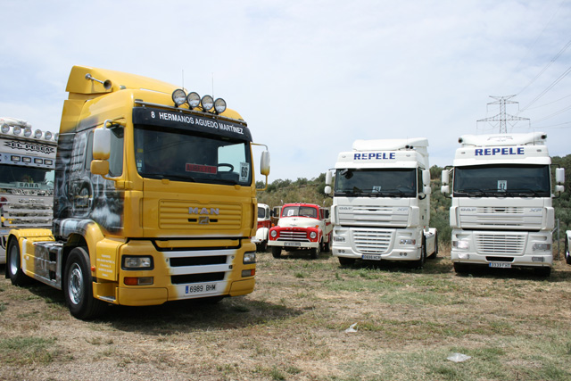 Un buen lugar donde comparar camiones de diversas marcas y estéticas como estos MAN y DAF.