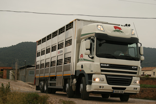 El acceso por los caminos rurales no es problemas para este DAF CF85 de cuatro ejes.