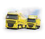 DAF XF105 y CF85