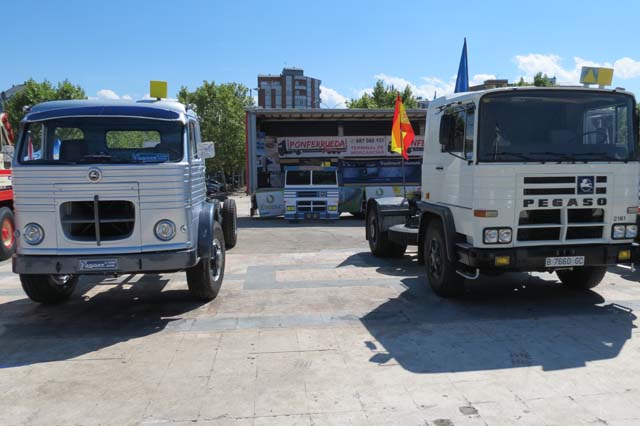 Pegasos de todos los tipos, incluido uno de madera bien conocido por los encamion@utas...