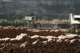 Nuestro destino, el aserradero Boix, donde la madera se transforma en pallets, embalajes, etc.