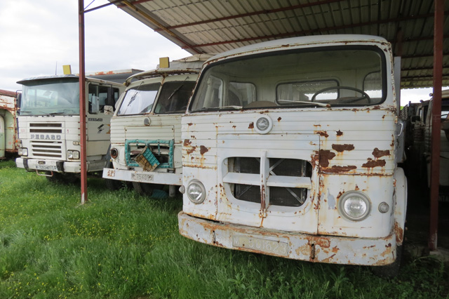 Los Pegaso son parte fundamental de la colección Aguilera