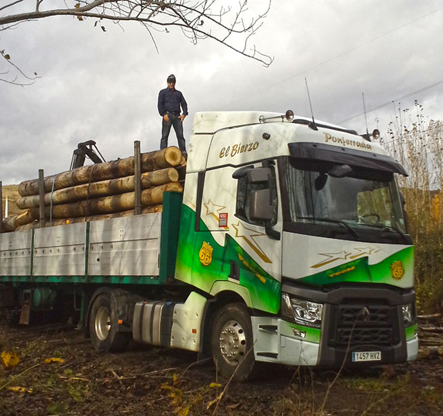 Las cargas se realizan casi siempre a través de caminos forestales, un tanto complicados al volante de un 40 toneladas